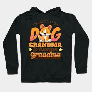 Promoted From Dog Grandma To Human Grandma Hoodie